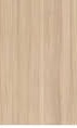 ASIA TILE 25X40 EPIC CREAM MATT